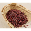 Kidney Beans Good For Kidneys